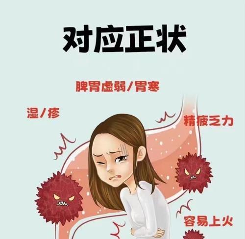 电脑没有驱动程序会导致哪些问题？（深入探讨电脑缺乏驱动程序的影响及解决方法）