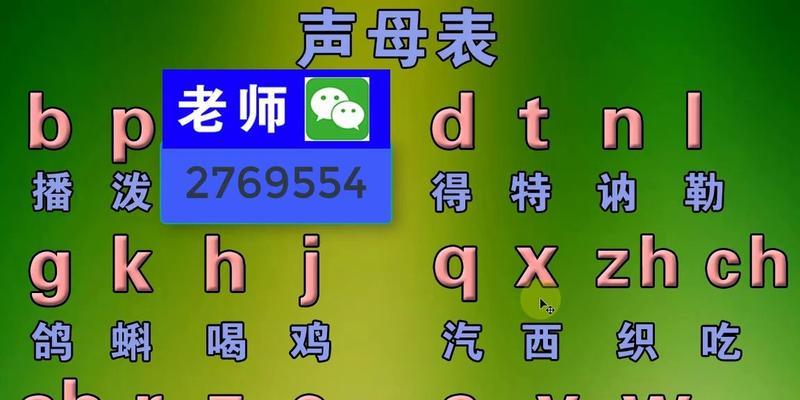中文打字只显示字母的原因探究（拼音输入法与中文打字的发展趋势）