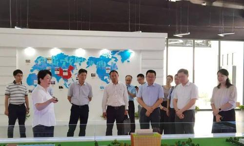 亨通光导新材料（全球瞩目的光导材料，将重塑通信行业格局）