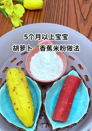 小萝卜安装使用教程（从零开始，轻松学会使用小萝卜的方法与技巧）