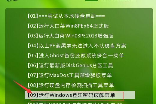 大白菜系统安装教程（轻松搭建个性化系统，掌握关键步骤）