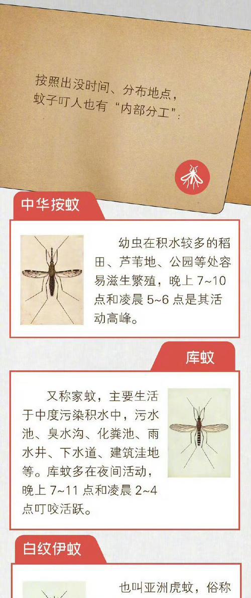无蚊子的世界（消失的叮咬与丰富多样的生态系统）